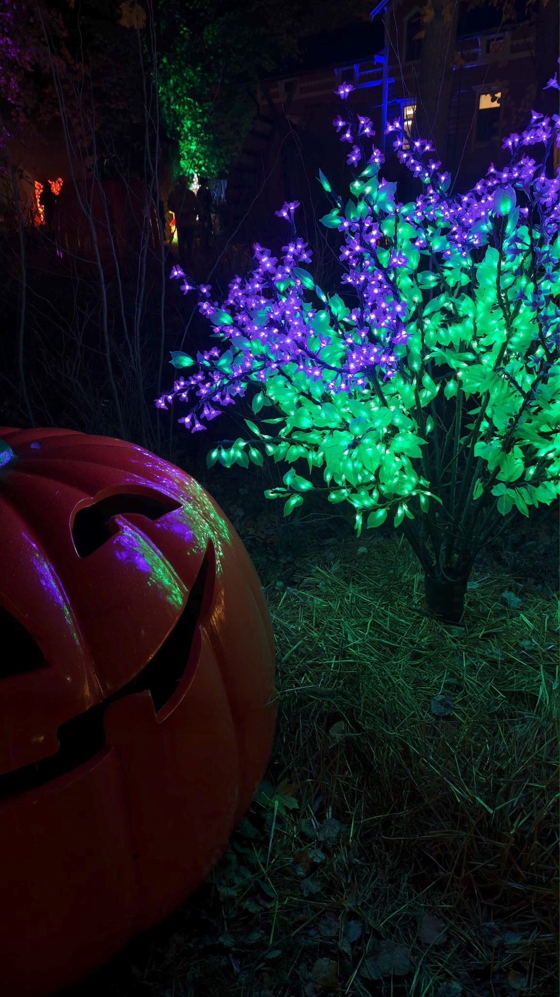 IMG 20251014 191613 copy